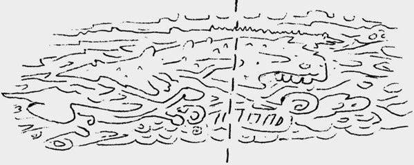 crossectioncorpus